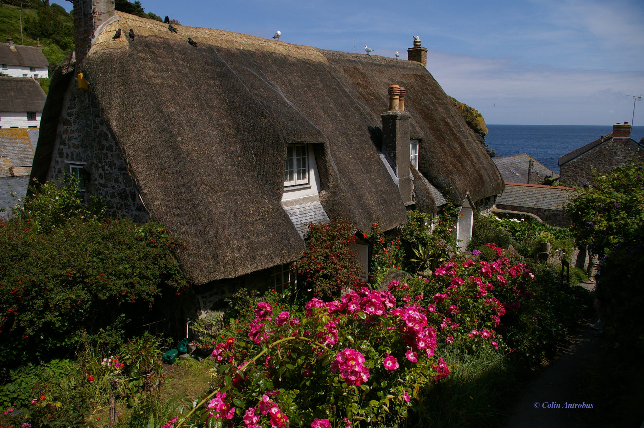 Cadgwith